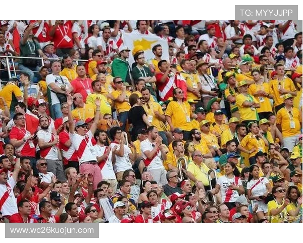 上届世界杯的媒体报道与全球观众的热情反响分析