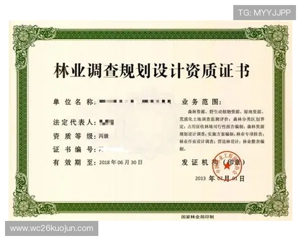 凯发体育正规平台怎么样啊，平台的合法资质与行业口碑的权威分析